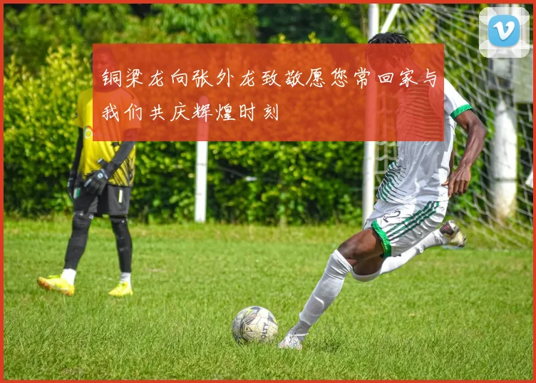 铜梁龙向张外龙致敬愿您常回家与我们共庆辉煌时刻