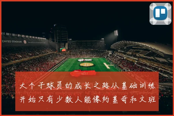 大个子球员的成长之路从基础训练开始只有少数人能像约基奇和文班那样成功